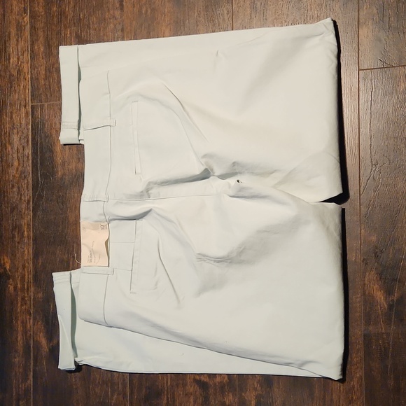 nwt LOFT ice blue Marissa Skinny pants 10 tall flat front pastel chinos nwd - Picture 4 of 6